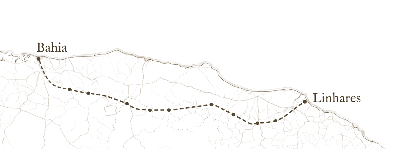 Peregrinação da Bahia a Interlagos